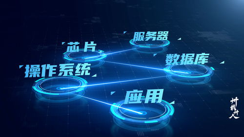 東吳證券信息技術總部 業技融合，開啟數字化加速度——卅載卅人第6期數字技術服務篇
